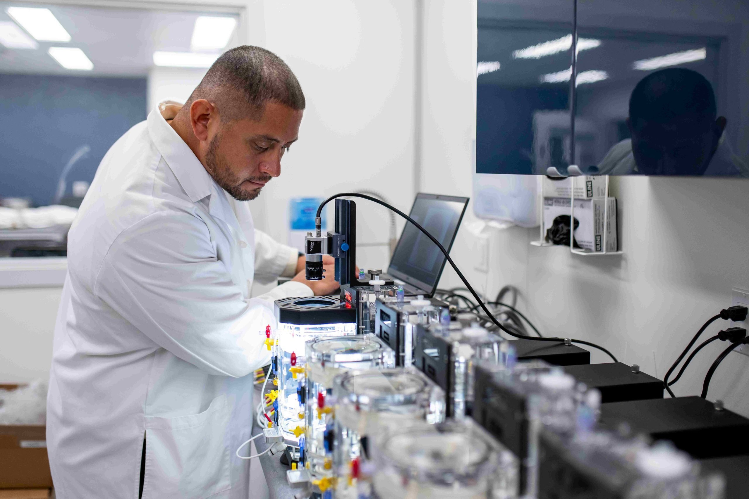 Heart Valve Prosthesis AWT study